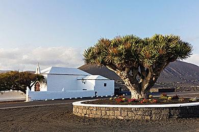 R星曾考虑《荒野大镖客2》次世代版 疑似被取消